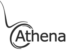 Athena Chair for Sale, Rental, Parts | Cherubini Mequon Wisconsin